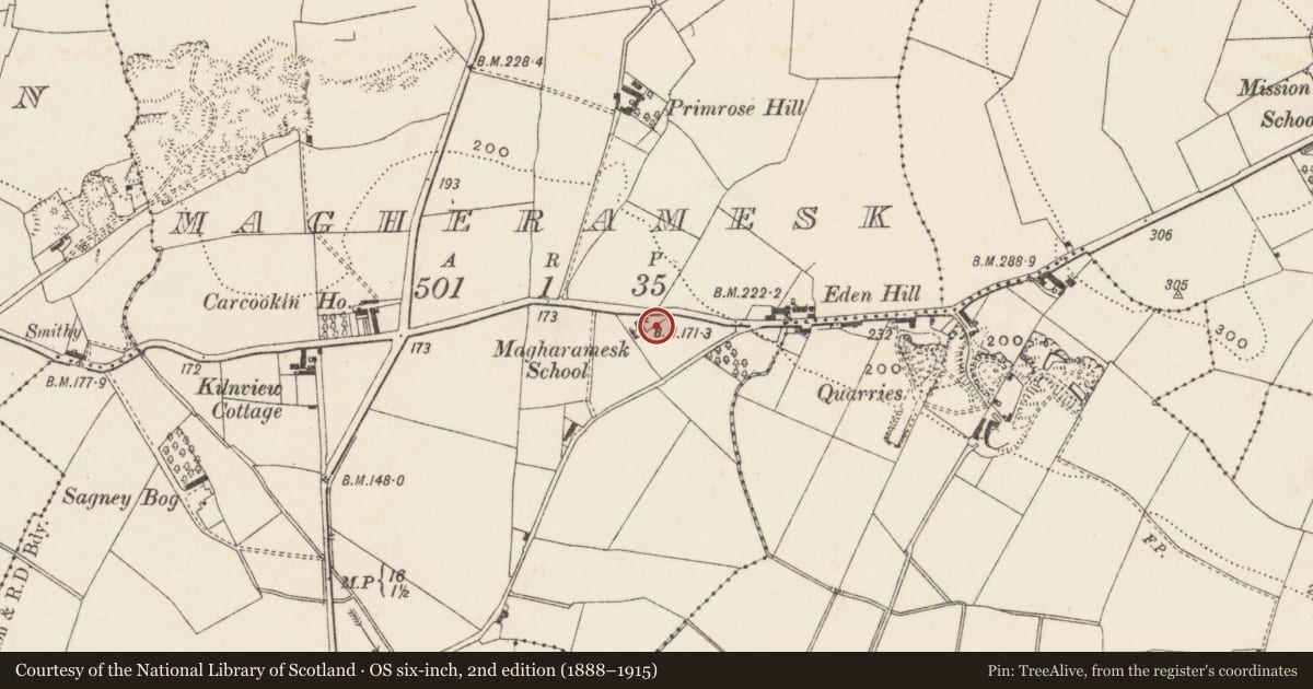 Ordnance Survey six-inch map, 2nd edition (1888–1915) covering the location of Maghermesk Former National School, Magheramesk, Lisburn and Castlereagh, with a pin at the register's coordinates