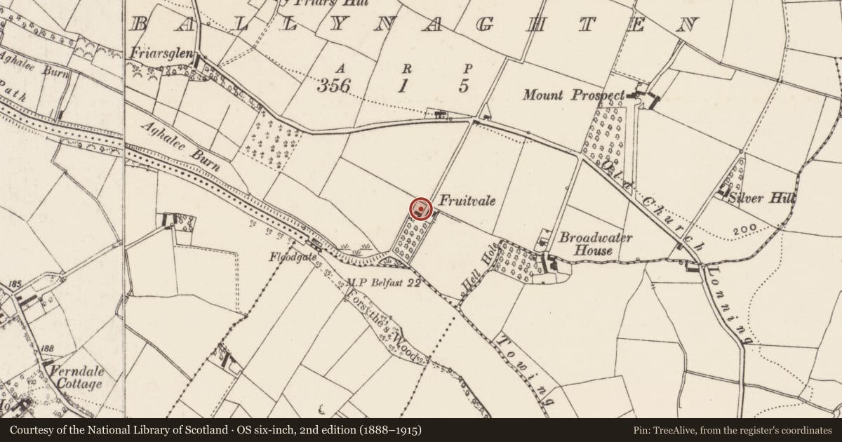 Ordnance Survey six-inch map, 2nd edition (1888–1915) covering the location of Fruitvale, Lisburn and Castlereagh, with a pin at the register's coordinates