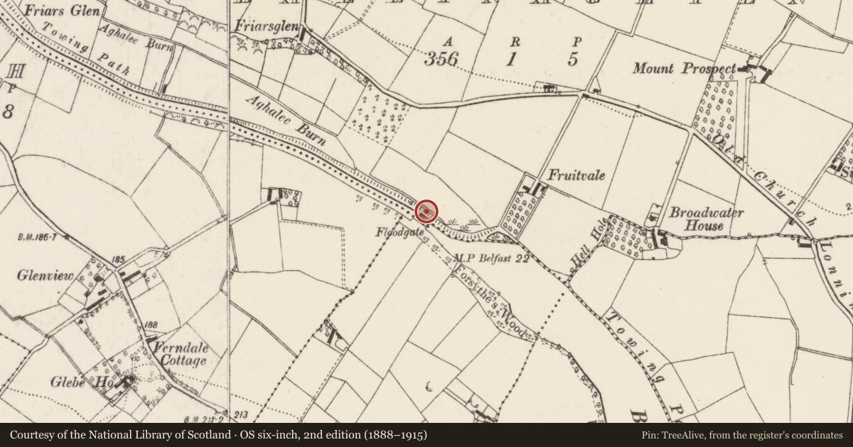 Ordnance Survey six-inch map, 2nd edition (1888–1915) covering the location of Floodgate Keepers House, Lisburn and Castlereagh, with a pin at the register's coordinates