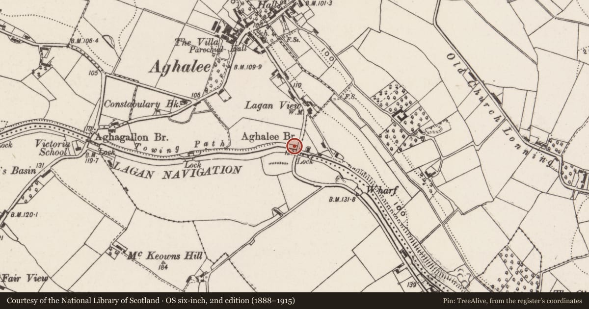 Ordnance Survey six-inch map, 2nd edition (1888–1915) covering the location of Aghalee Bridge, Lisburn and Castlereagh, with a pin at the register's coordinates