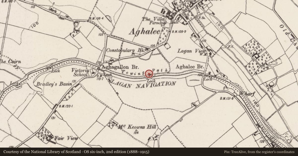 Ordnance Survey six-inch map, 2nd edition (1888–1915) covering the location of Lock between Aghalee and Aghagallon Bridges, Lisburn and Castlereagh, with a pin at the register's coordinates