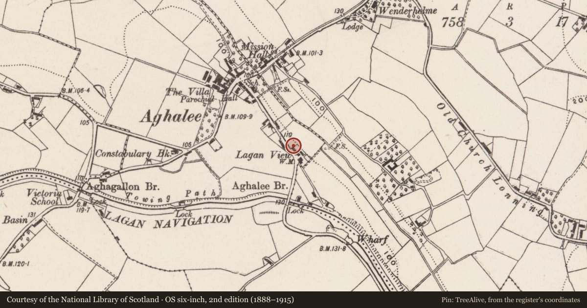 Ordnance Survey six-inch map, 2nd edition (1888–1915) covering the location of Lagan View, Lisburn and Castlereagh, with a pin at the register's coordinates