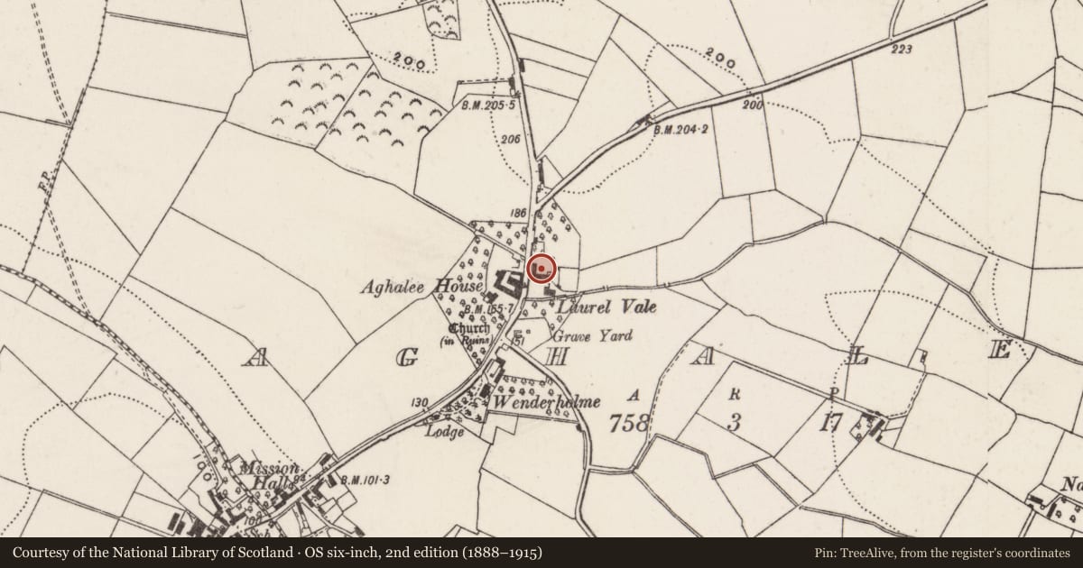 Ordnance Survey six-inch map, 2nd edition (1888–1915) covering the location of Laurel Vale, Aghalee, Lisburn and Castlereagh, with a pin at the register's coordinates
