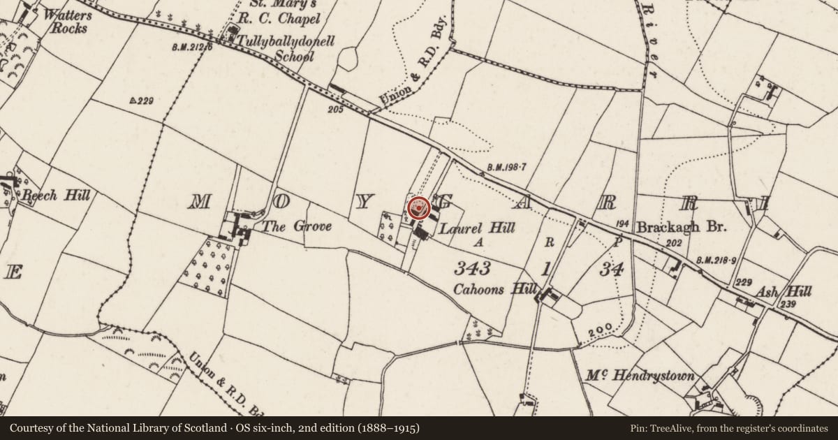 Ordnance Survey six-inch map, 2nd edition (1888–1915) covering the location of Laurel Hill, Moygarriff, Lisburn and Castlereagh, with a pin at the register's coordinates