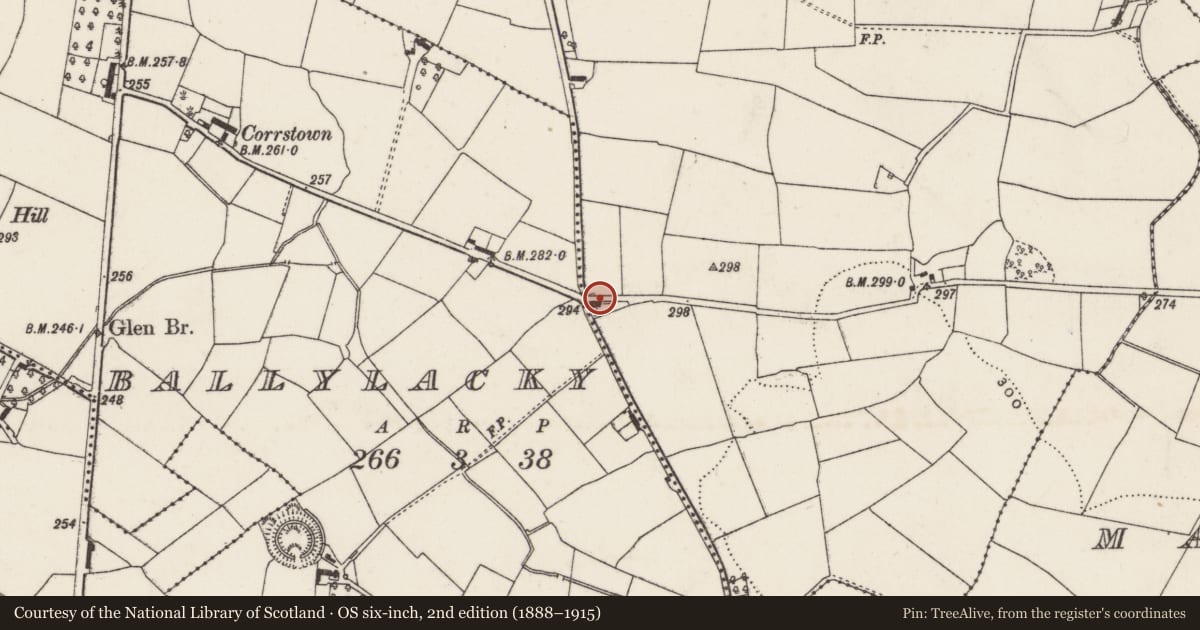 Ordnance Survey six-inch map, 2nd edition (1888–1915) covering the location of 7 Old Road, Lisburn and Castlereagh, with a pin at the register's coordinates