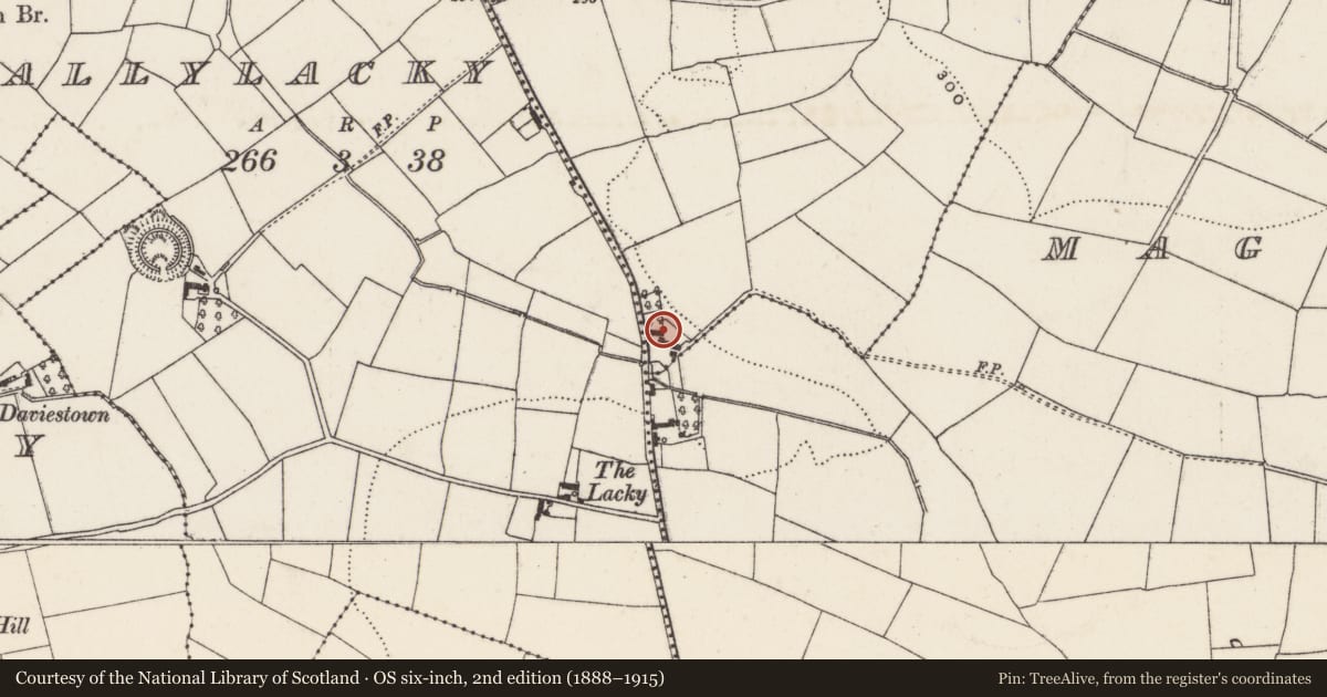 Ordnance Survey six-inch map, 2nd edition (1888–1915) covering the location of 11 Old Road, Lisburn and Castlereagh, with a pin at the register's coordinates