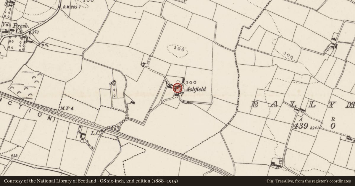 Ordnance Survey six-inch map, 2nd edition (1888–1915) covering the location of Ashfield, Aghacarnan, Lisburn and Castlereagh, with a pin at the register's coordinates