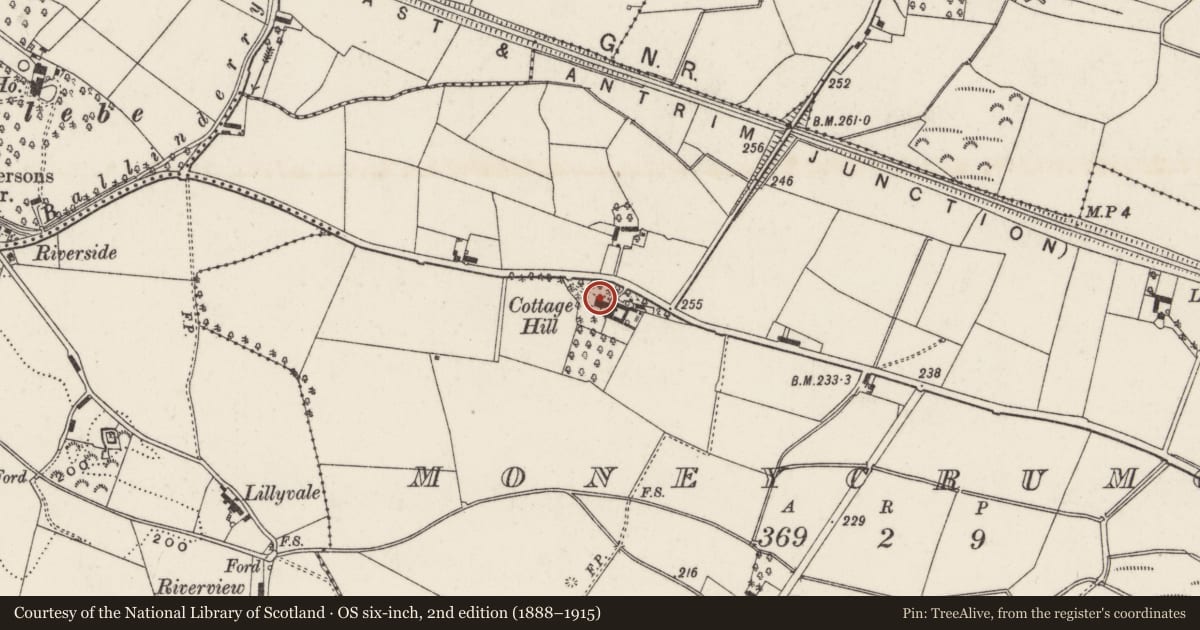 Ordnance Survey six-inch map, 2nd edition (1888–1915) covering the location of Cottage Hill, Lisburn and Castlereagh, with a pin at the register's coordinates