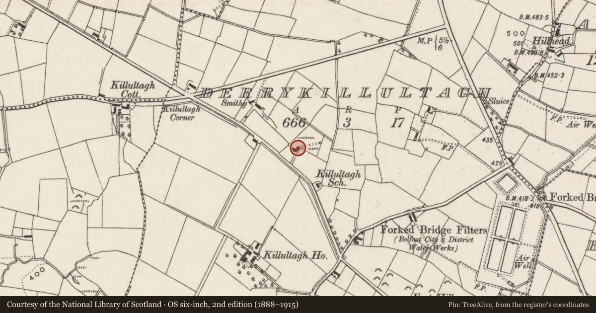Ordnance Survey six-inch map, 2nd edition (1888–1915) covering the location of Killultagh Road, Lisburn and Castlereagh, with a pin at the register's coordinates