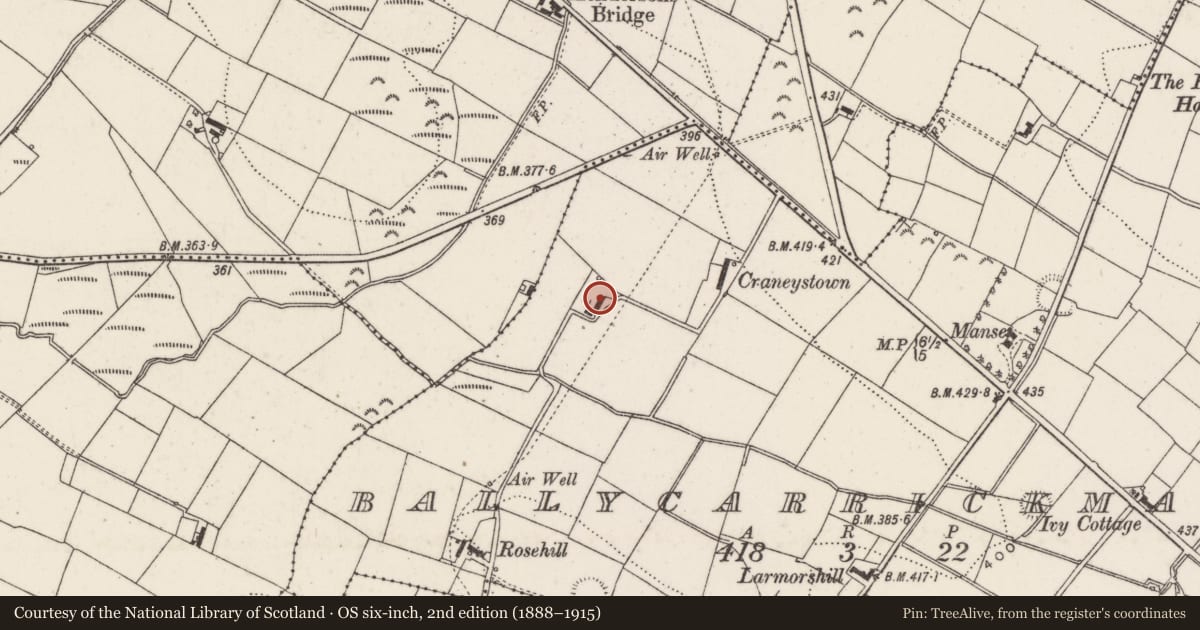 Ordnance Survey six-inch map, 2nd edition (1888–1915) covering the location of Craneystown, Lisburn and Castlereagh, with a pin at the register's coordinates
