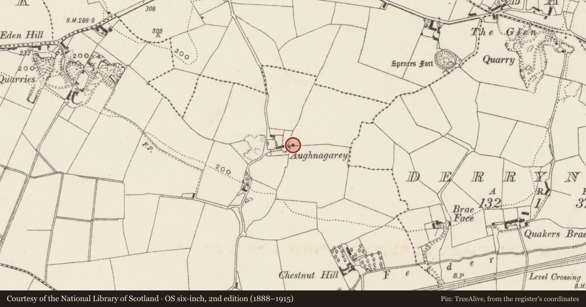 Ordnance Survey six-inch map, 2nd edition (1888–1915) covering the location of 4 Trummery Lane, Lisburn and Castlereagh, with a pin at the register's coordinates