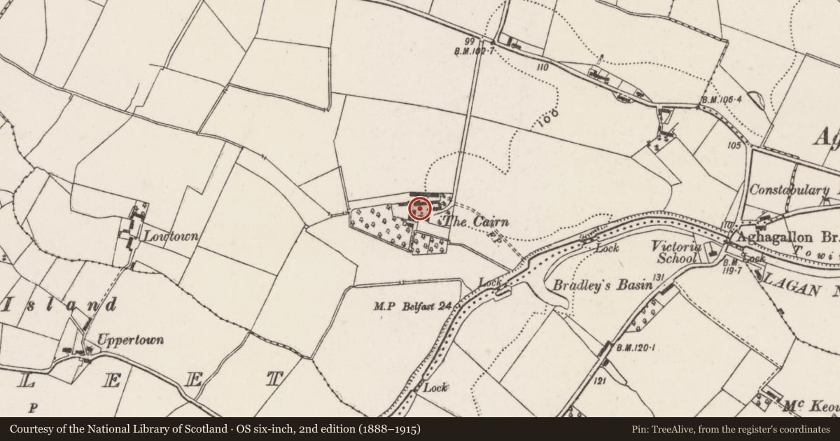 Ordnance Survey six-inch map, 2nd edition (1888–1915) covering the location of The Cairn, Armagh City, Banbridge and Craigavon, with a pin at the register's coordinates