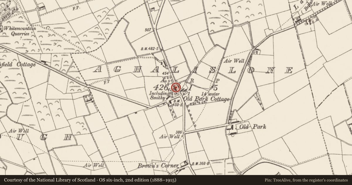 Ordnance Survey six-inch map, 2nd edition (1888–1915) covering the location of 115 Pond Park Road, Lisburn and Castlereagh, with a pin at the register's coordinates