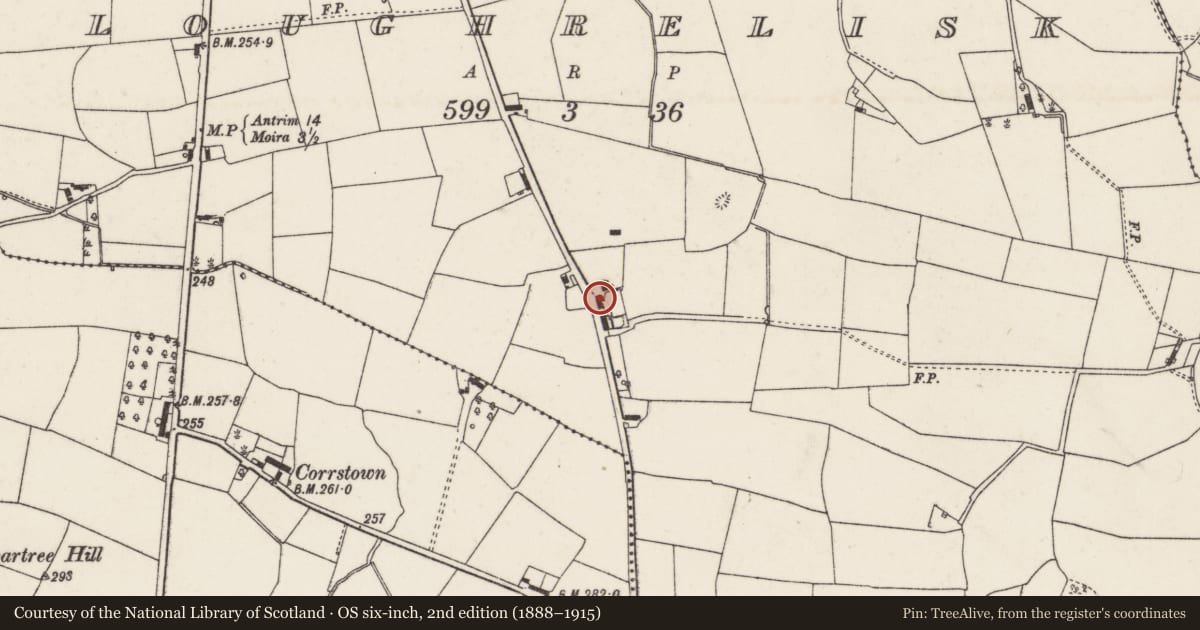 Ordnance Survey six-inch map, 2nd edition (1888–1915) covering the location of 5 Old Road, Loughrelisk, Lisburn and Castlereagh, with a pin at the register's coordinates