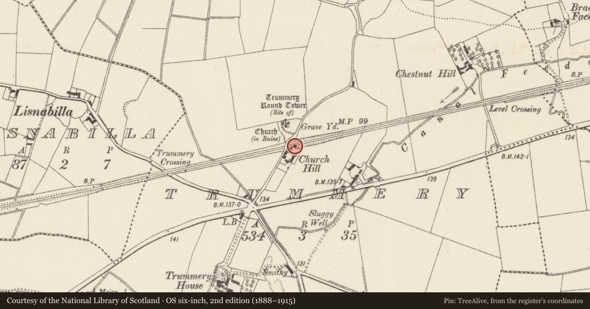 Ordnance Survey six-inch map, 2nd edition (1888–1915) covering the location of Road over rail bridge, Trummery, Lisburn and Castlereagh, with a pin at the register's coordinates