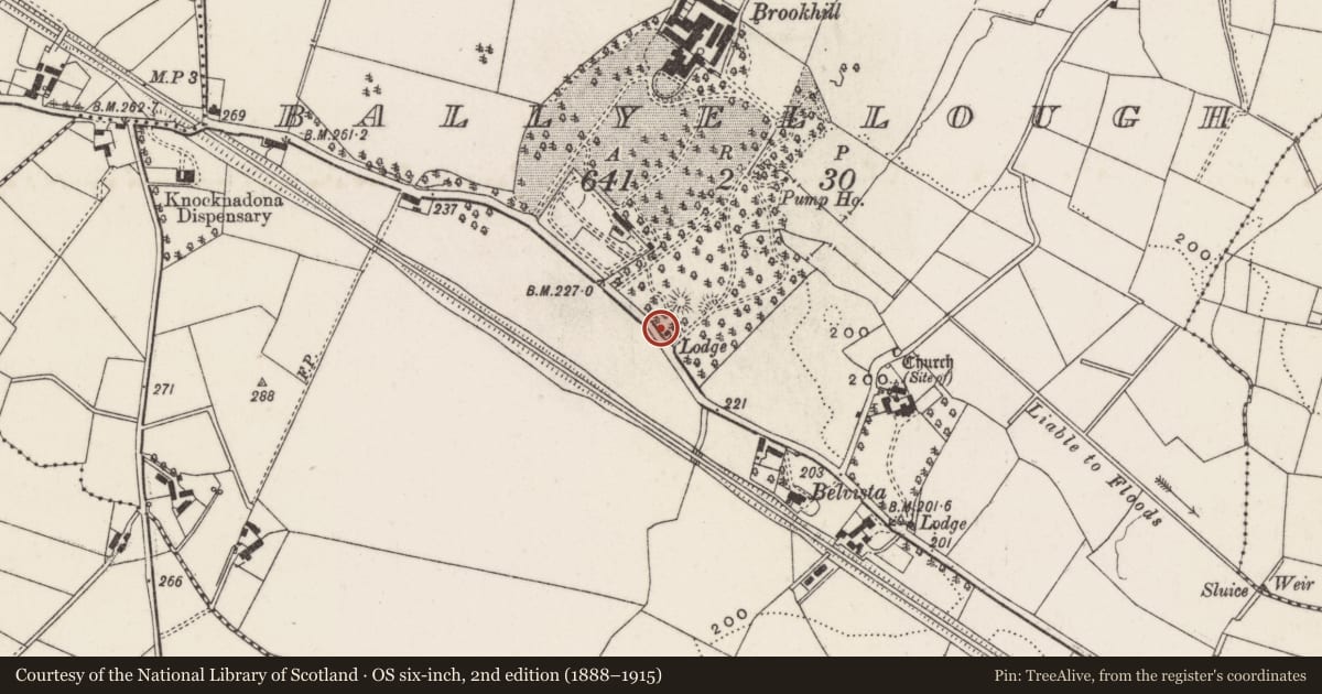 Ordnance Survey six-inch map, 2nd edition (1888–1915) covering the location of Gate Lodge, Ballyellough, Lisburn and Castlereagh, with a pin at the register's coordinates