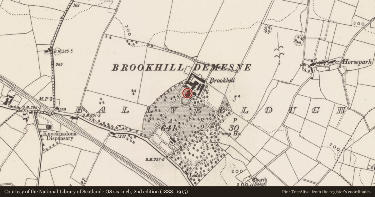 Ordnance Survey six-inch map, 2nd edition (1888–1915) covering the location of Brookhill Demesne Garden Features, Ballyellough, Lisburn and Castlereagh, with a pin at the register's coordinates