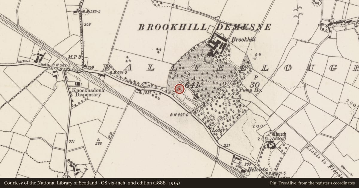 Ordnance Survey six-inch map, 2nd edition (1888–1915) covering the location of Brookhill Demesne Walled Garden, Ballyellough, Lisburn and Castlereagh, with a pin at the register's coordinates