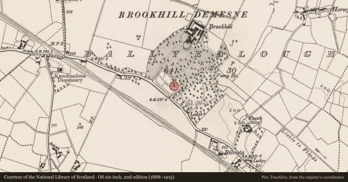 Ordnance Survey six-inch map, 2nd edition (1888–1915) covering the location of Brookhill Demesne Walled Garden, Ballyellough, Lisburn and Castlereagh, with a pin at the register's coordinates