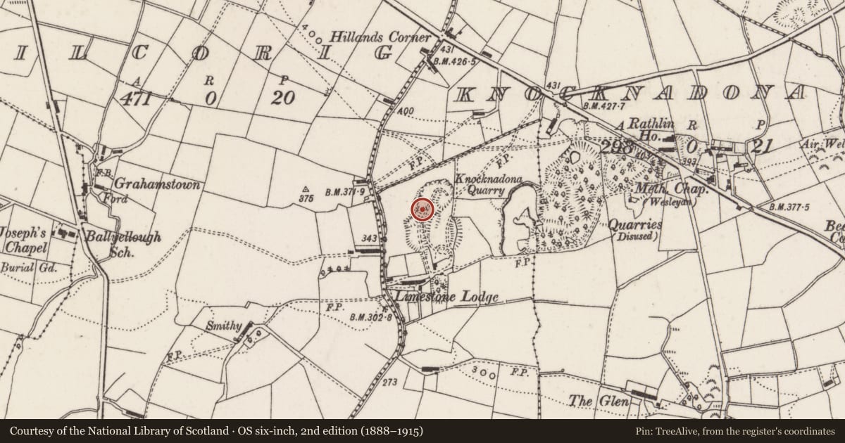 Ordnance Survey six-inch map, 2nd edition (1888–1915) covering the location of Chimney, Moneybroom, Lisburn and Castlereagh, with a pin at the register's coordinates