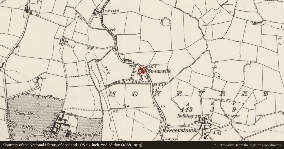 Ordnance Survey six-inch map, 2nd edition (1888–1915) covering the location of Streamville Lodge, Moneybroom, Lisburn and Castlereagh, with a pin at the register's coordinates