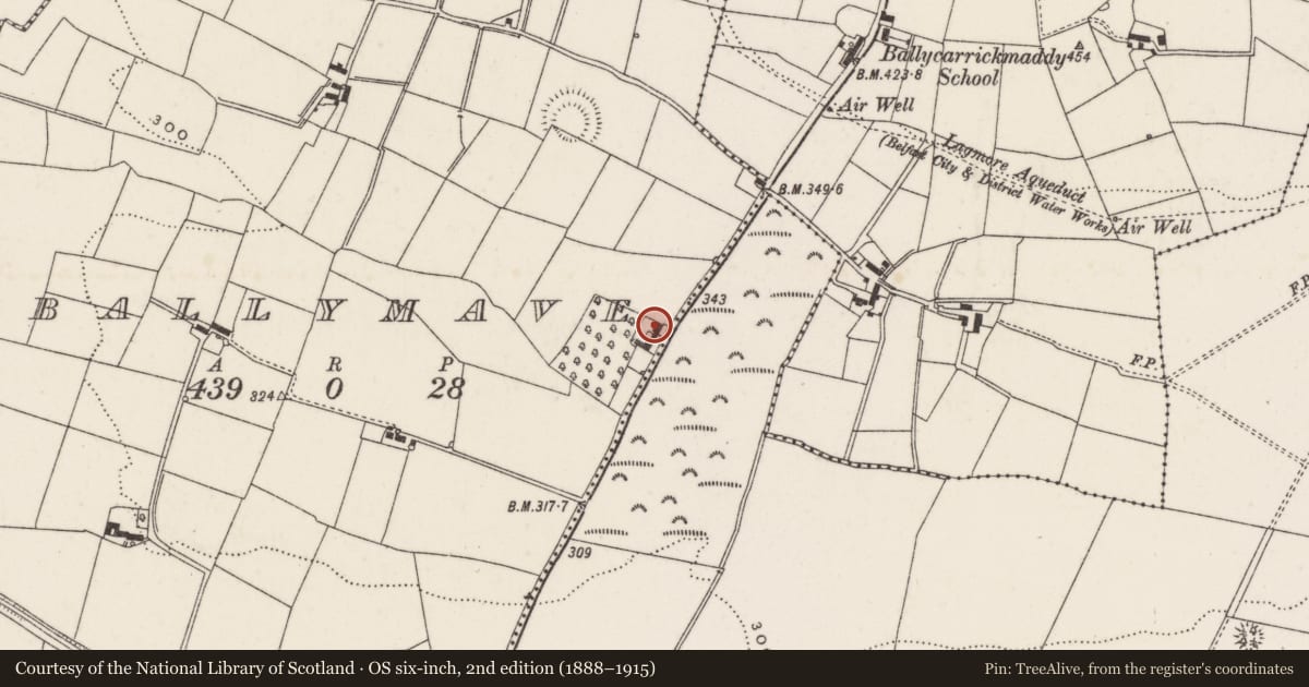 Ordnance Survey six-inch map, 2nd edition (1888–1915) covering the location of 7 School Lane, Ballyellough/Ballymave, Lisburn and Castlereagh, with a pin at the register's coordinates