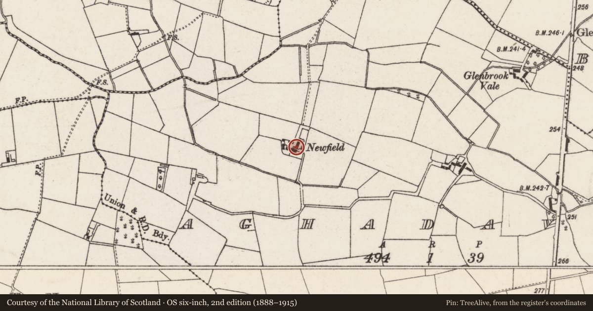 Ordnance Survey six-inch map, 2nd edition (1888–1915) covering the location of Newfield, Aghadavy, Lisburn and Castlereagh, with a pin at the register's coordinates