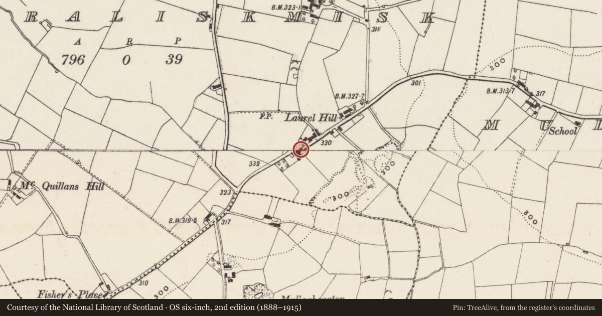 Ordnance Survey six-inch map, 2nd edition (1888–1915) covering the location of 23 Mullaghcarton Road, Magheraliskmisk, Lisburn and Castlereagh, with a pin at the register's coordinates