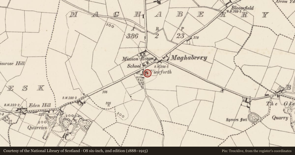 Ordnance Survey six-inch map, 2nd edition (1888–1915) covering the location of 1 Trummery Lane, Maghaberry, Lisburn and Castlereagh, with a pin at the register's coordinates