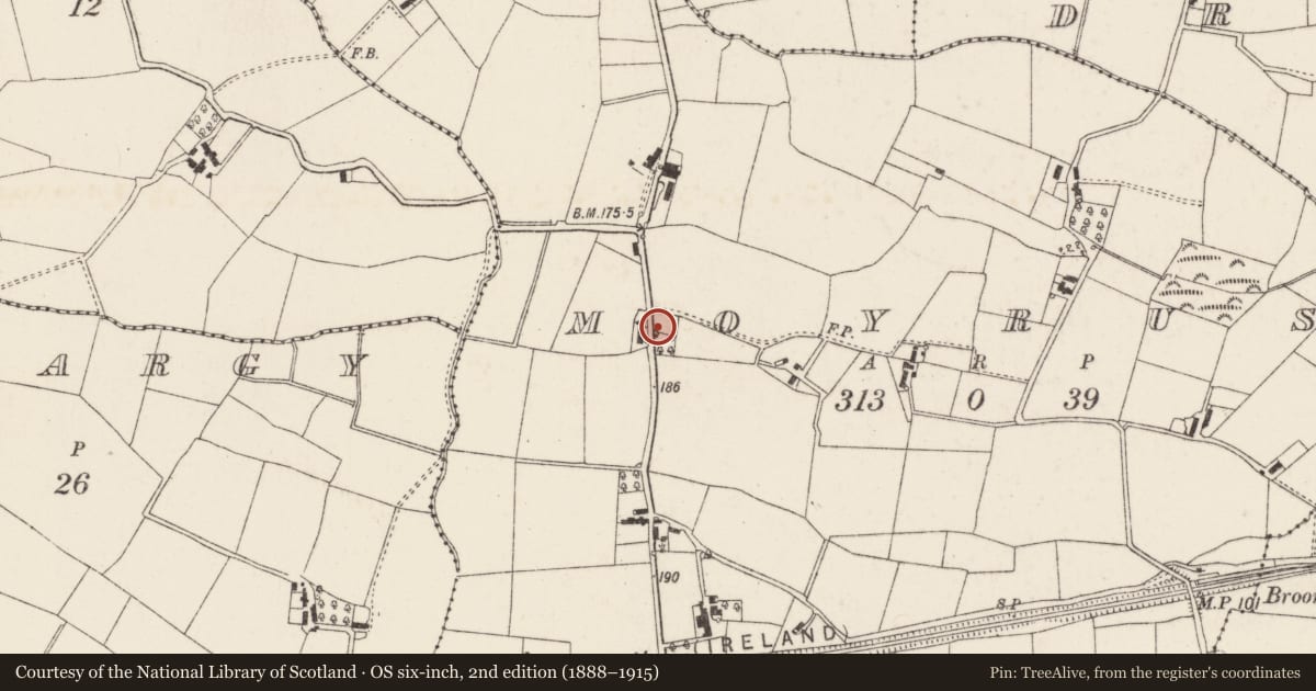 Ordnance Survey six-inch map, 2nd edition (1888–1915) covering the location of 8 Bushfield Road, Moyrusk, Lisburn and Castlereagh, with a pin at the register's coordinates