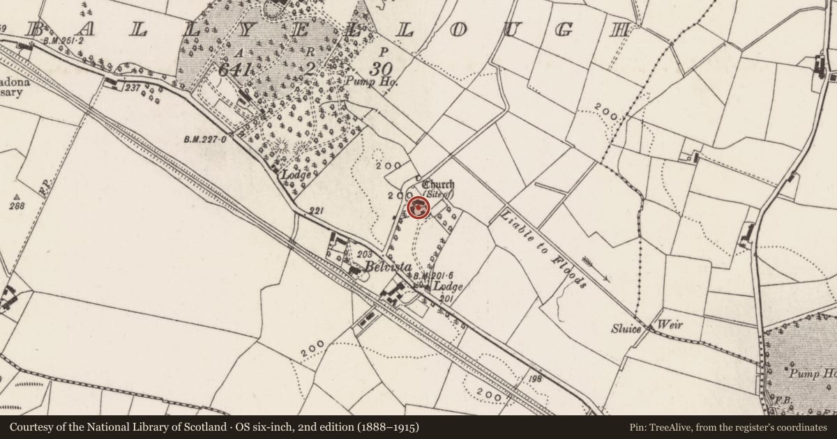Ordnance Survey six-inch map, 2nd edition (1888–1915) covering the location of Brookhall Historical Farm, Ballyellough, Lisburn and Castlereagh, with a pin at the register's coordinates