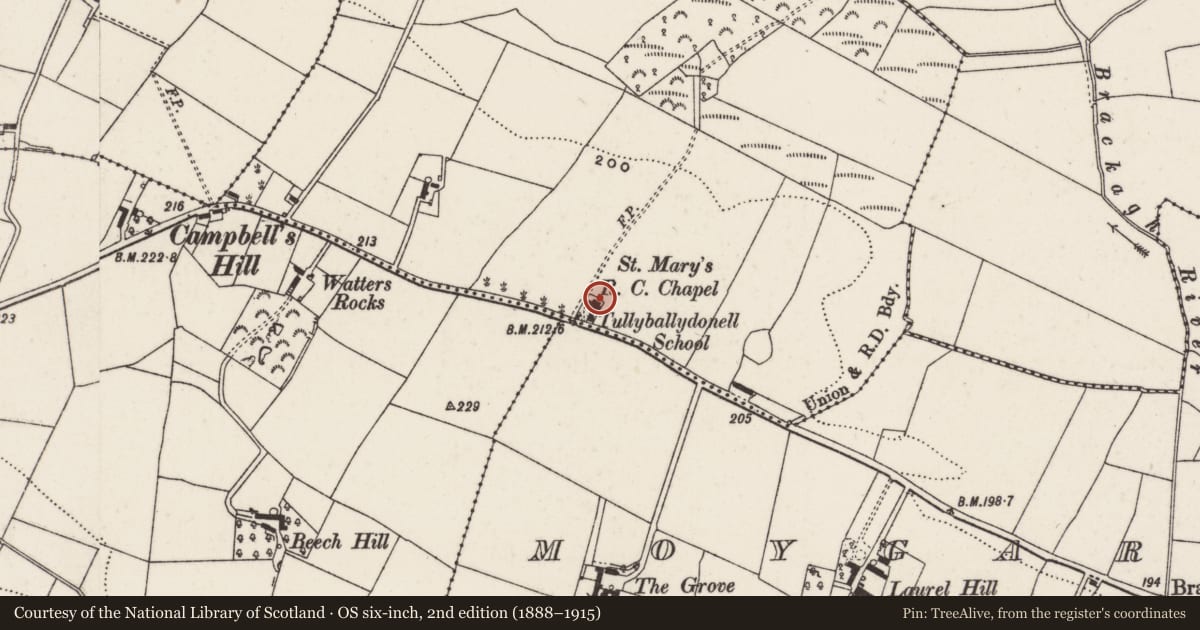 Ordnance Survey six-inch map, 2nd edition (1888–1915) covering the location of St Mary's Church, Tullyballydonnell, Lisburn and Castlereagh, with a pin at the register's coordinates