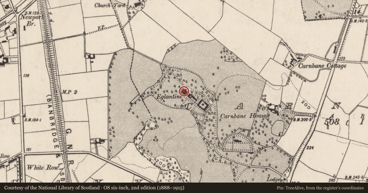 Ordnance Survey six-inch map, 2nd edition (1888–1915) covering the location of Eglantine House, Carnbane, Lisburn and Castlereagh, with a pin at the register's coordinates