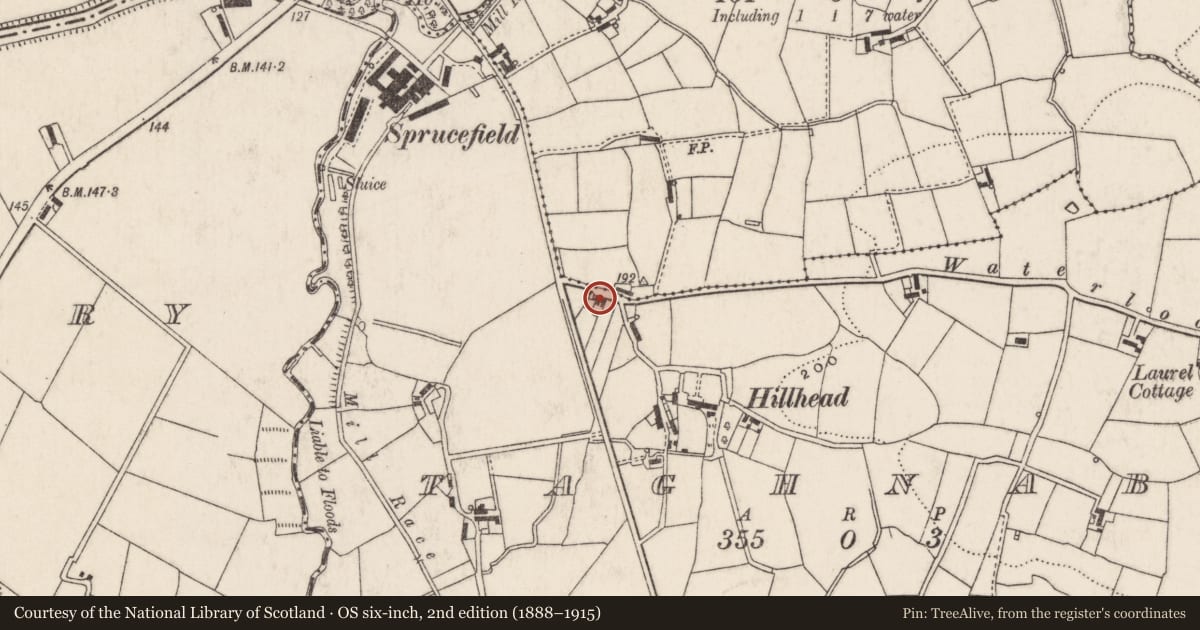 Ordnance Survey six-inch map, 2nd edition (1888–1915) covering the location of 31 Waterloo Road, Lisburn and Castlereagh, with a pin at the register's coordinates