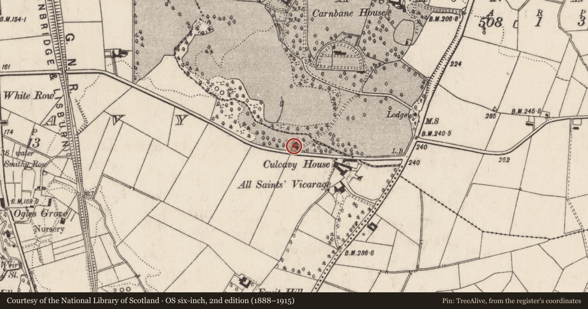 Ordnance Survey six-inch map, 2nd edition (1888–1915) covering the location of 4-6 Harry’s Road, Lisburn and Castlereagh, with a pin at the register's coordinates