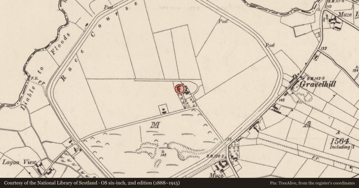 Ordnance Survey six-inch map, 2nd edition (1888–1915) covering the location of Old Stables, Lisburn and Castlereagh, with a pin at the register's coordinates