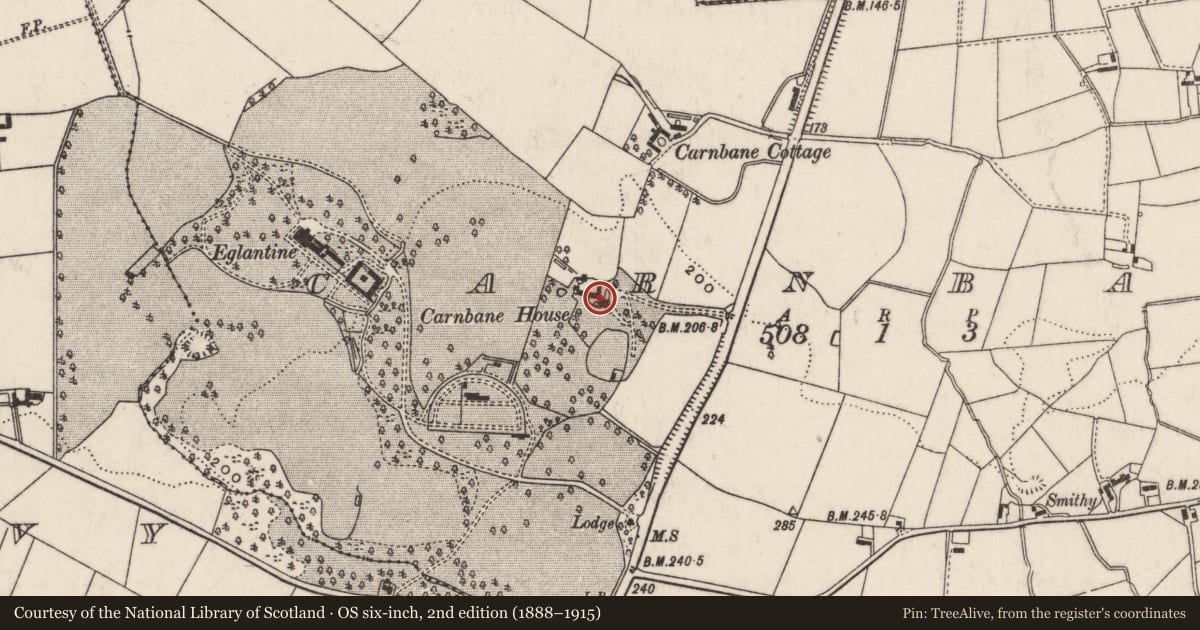 Ordnance Survey six-inch map, 2nd edition (1888–1915) covering the location of Carnbane House, Lisburn and Castlereagh, with a pin at the register's coordinates