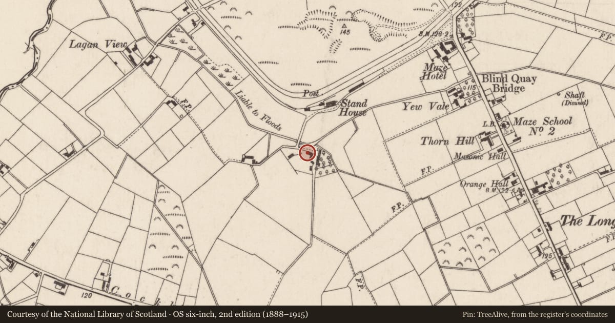 Ordnance Survey six-inch map, 2nd edition (1888–1915) covering the location of Ashfield, Maze, Lisburn and Castlereagh, with a pin at the register's coordinates