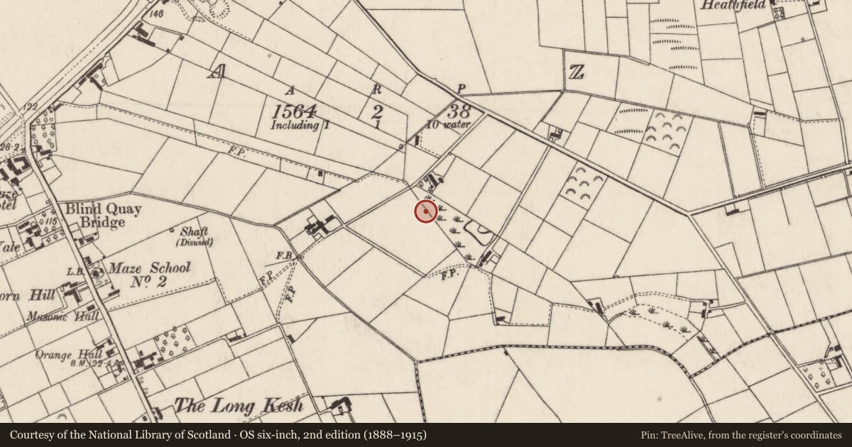 Ordnance Survey six-inch map, 2nd edition (1888–1915) covering the location of ‘H’ Block 6, Maze, Lisburn and Castlereagh, with a pin at the register's coordinates