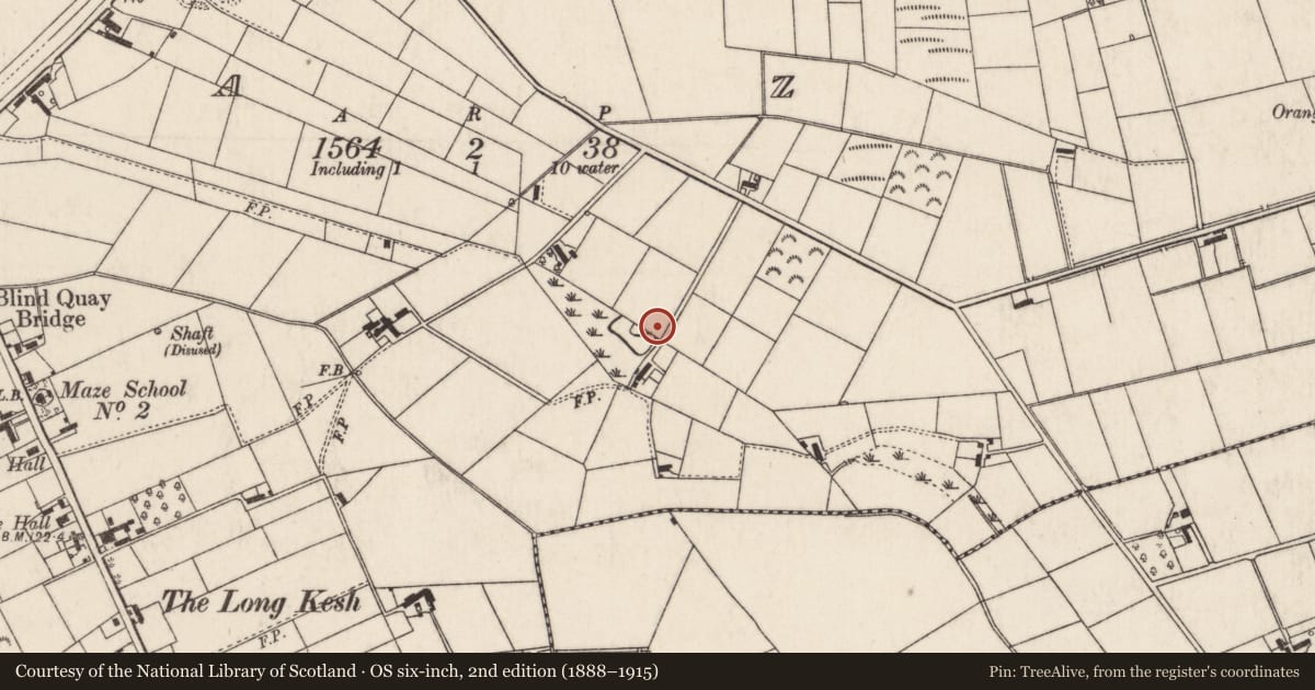 Ordnance Survey six-inch map, 2nd edition (1888–1915) covering the location of 'H' Block 7, Zone J, The former Maze Prison, Halftown Road, Lisburn, BT27, Lisburn and Castlereagh, with a pin at the register's coordinates