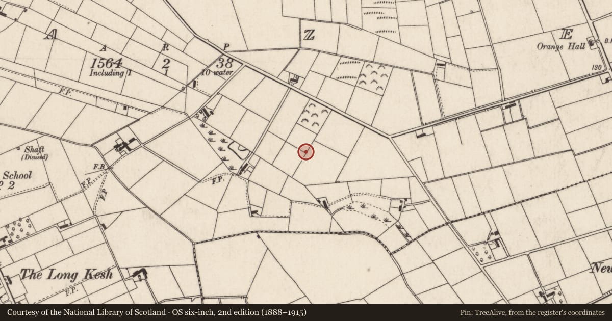 Ordnance Survey six-inch map, 2nd edition (1888–1915) covering the location of 'H' Block 8, Zone J, The former Maze Prison, Halftown Road, Lisburn, BT27, Lisburn and Castlereagh, with a pin at the register's coordinates