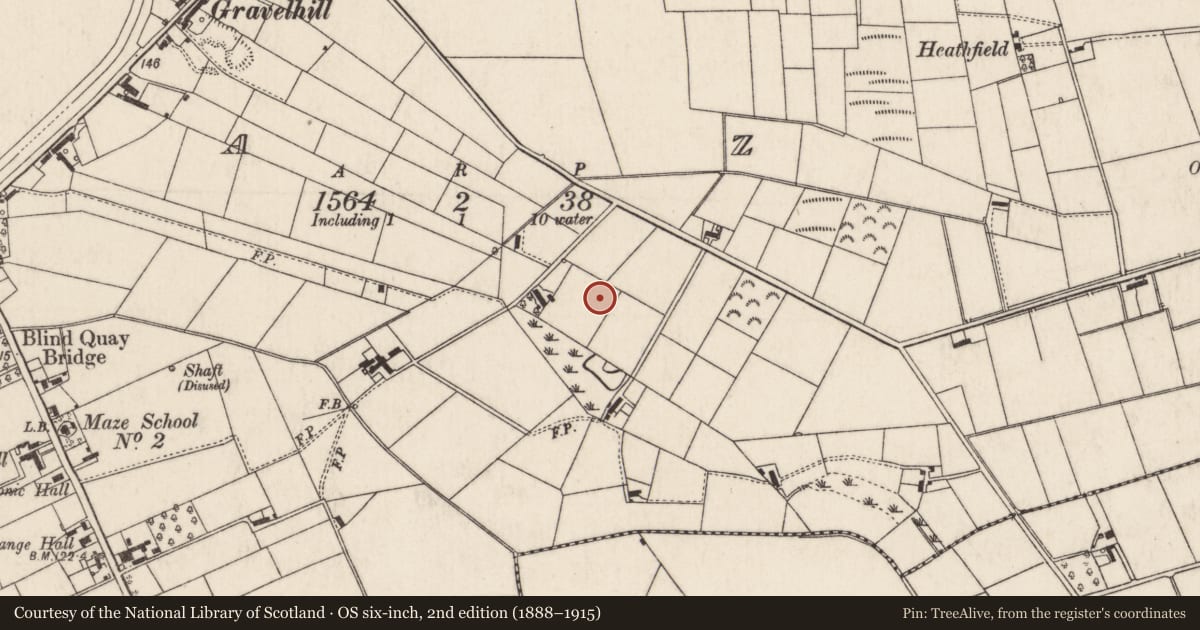 Ordnance Survey six-inch map, 2nd edition (1888–1915) covering the location of Multi Denominational Chapel, Maze, Lisburn and Castlereagh, with a pin at the register's coordinates