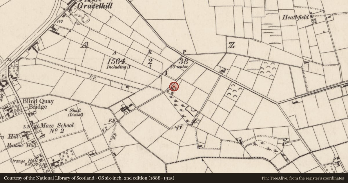 Ordnance Survey six-inch map, 2nd edition (1888–1915) covering the location of Concrete Perimeter Walls, Maze, Lisburn and Castlereagh, with a pin at the register's coordinates