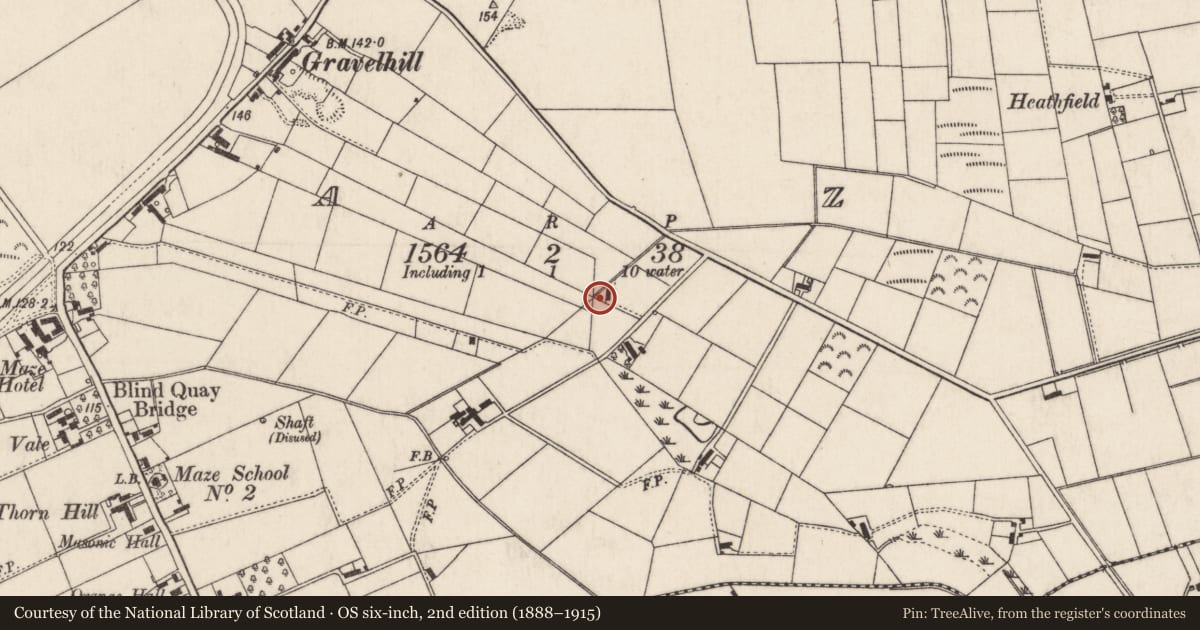 Ordnance Survey six-inch map, 2nd edition (1888–1915) covering the location of Cellular Health Care Centre, Maze, Lisburn and Castlereagh, with a pin at the register's coordinates