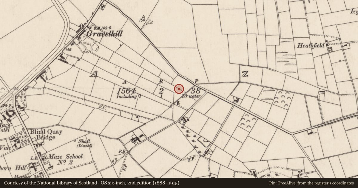 Ordnance Survey six-inch map, 2nd edition (1888–1915) covering the location of Cellular Administration Block, Maze, Lisburn and Castlereagh, with a pin at the register's coordinates