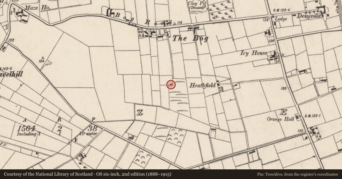 Ordnance Survey six-inch map, 2nd edition (1888–1915) covering the location of Compound 19, Maze, Lisburn and Castlereagh, with a pin at the register's coordinates