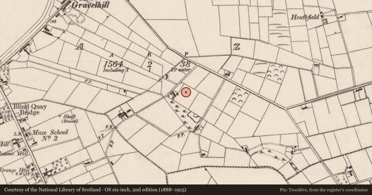 Ordnance Survey six-inch map, 2nd edition (1888–1915) covering the location of Concrete Perimeter Walls, Maze, Lisburn and Castlereagh, with a pin at the register's coordinates