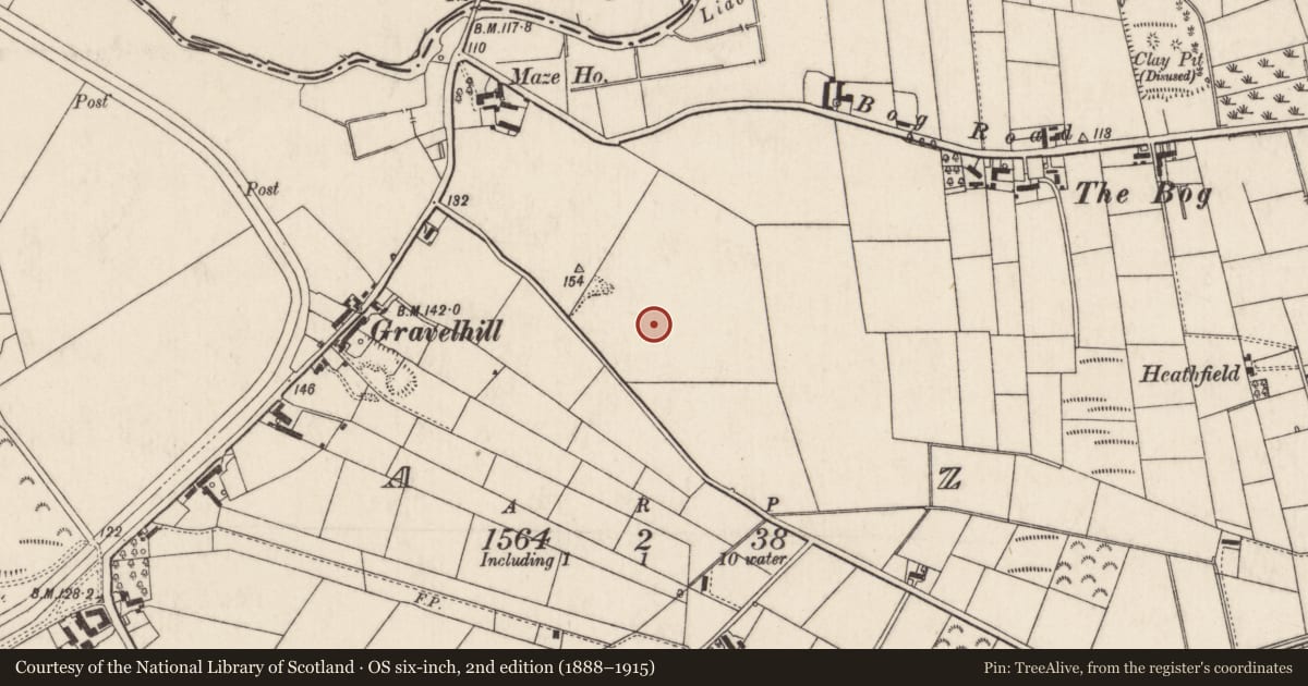 Ordnance Survey six-inch map, 2nd edition (1888–1915) covering the location of Hangars (former aircraft assembly hangars), Gate 3, Maze, Long Kesh, 94b Halftown Road, Lisburn BT27 5RF, Lisburn and Castlereagh, with a pin at the register's coordinates