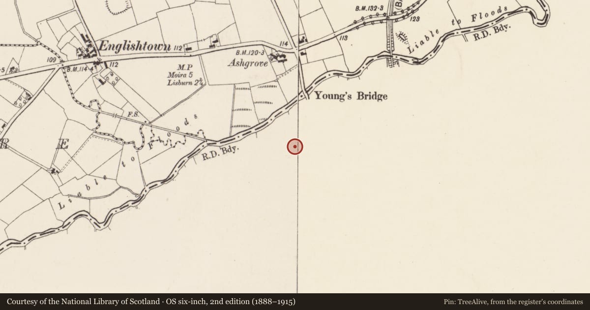 Ordnance Survey six-inch map, 2nd edition (1888–1915) covering the location of 6 Halftown Road, Maze, Lisburn and Castlereagh, with a pin at the register's coordinates