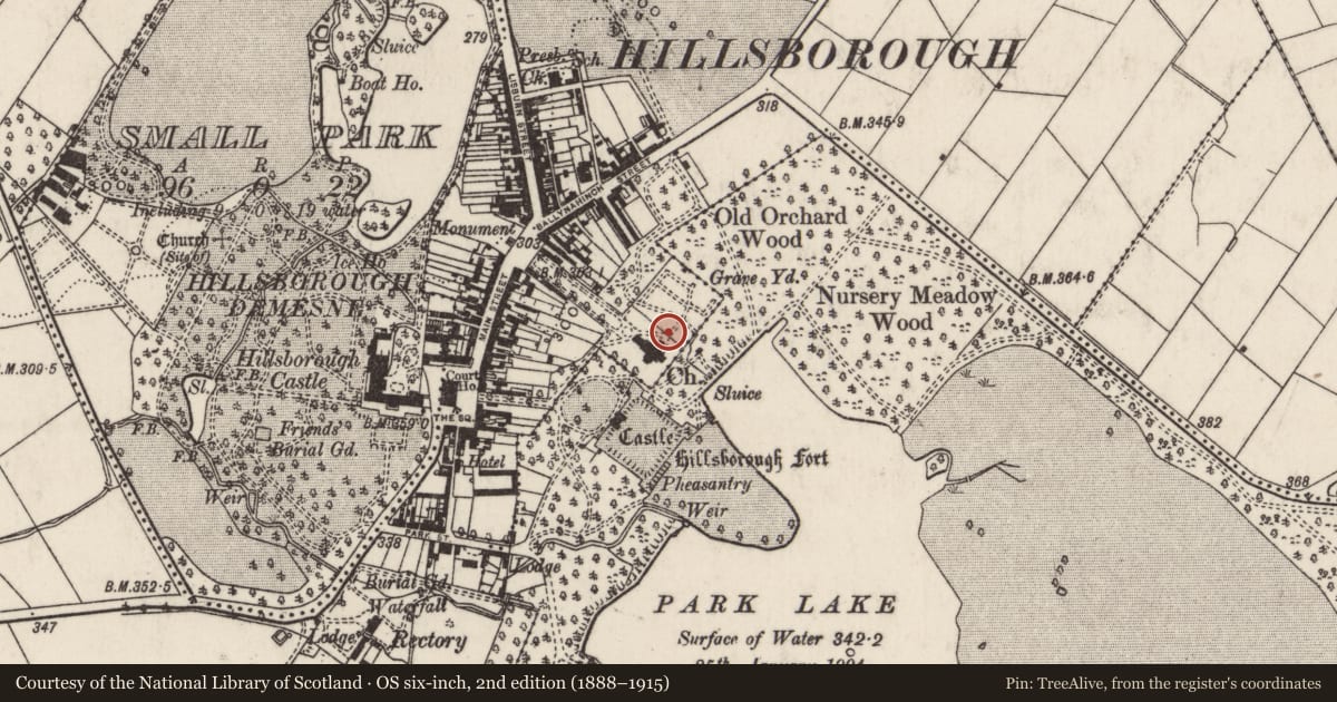 Ordnance Survey six-inch map, 2nd edition (1888–1915) covering the location of Lych gate, Hillsborough/Large Park, Lisburn and Castlereagh, with a pin at the register's coordinates